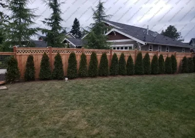 Residential Cedar fence lattice top